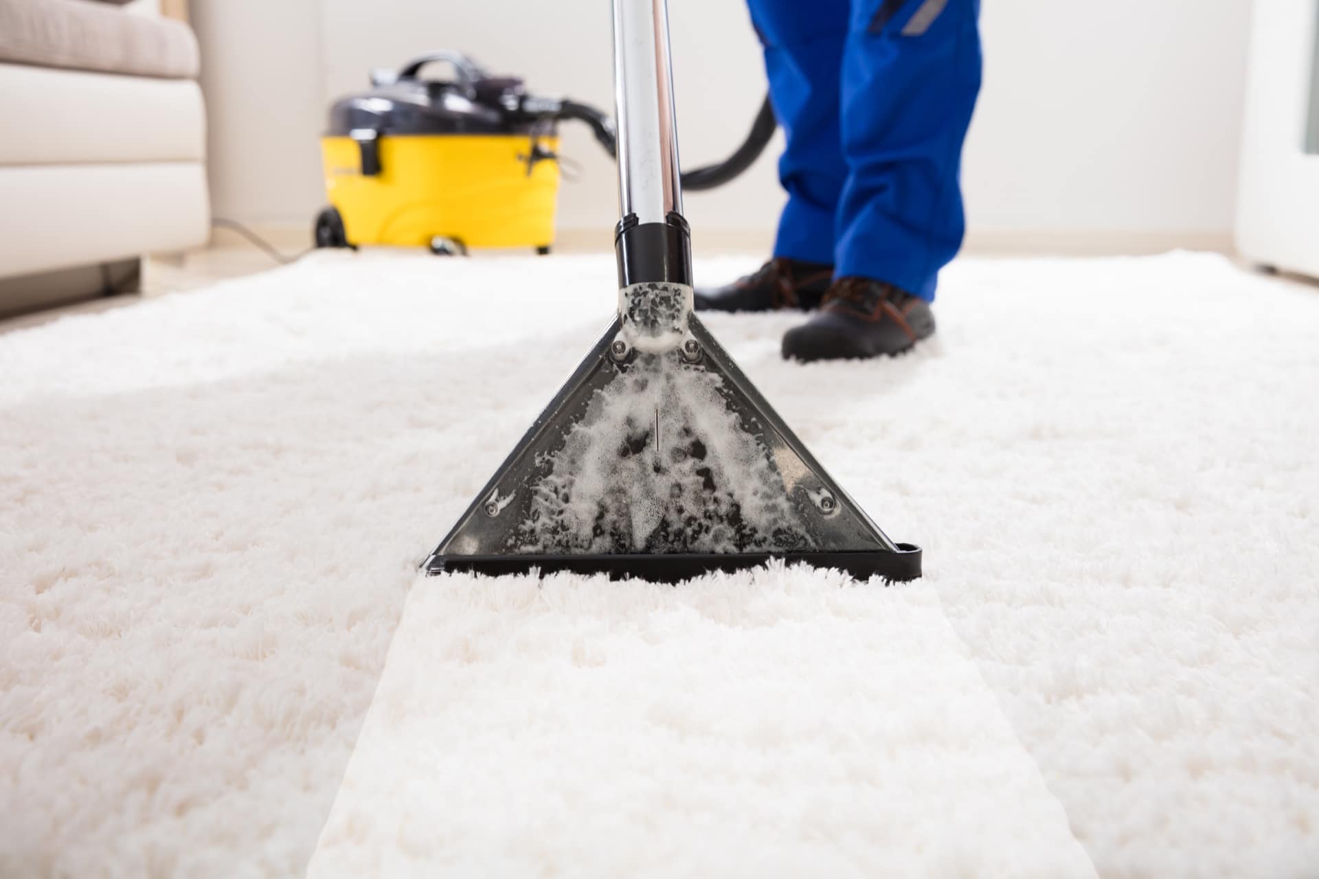 Teppichreinigung, Teppichbodenreinigung - Reinheit in jeder Faser, dieses Ergebnis erhalten Sie durch unsere professionelle Teppichreinigung. - Teppichreinigung - Angebot anfragen!